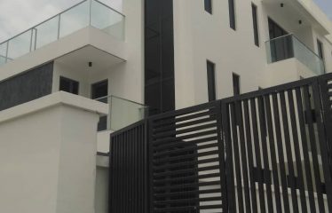 Brand new 4 units of a semi-detached duplexes with a 1 room BQ attached.