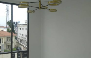 Brand new 4 units of a semi-detached duplexes with a 1 room BQ attached.