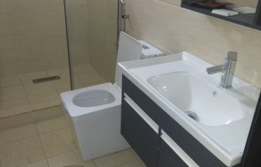 Brand new 4 units of a semi-detached duplexes with a 1 room BQ attached.