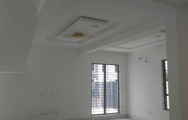 Brand new 4 units of a semi-detached duplexes with a 1 room BQ attached.