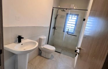 Brand new exquisite 3 bedroom flat ,built with high ceilings and a room service quarter.